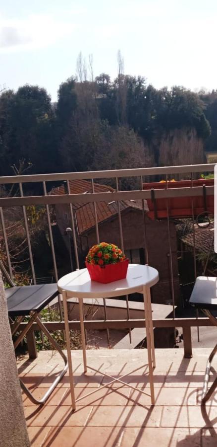 苏特里La Casa Dei Libri别墅 外观 照片