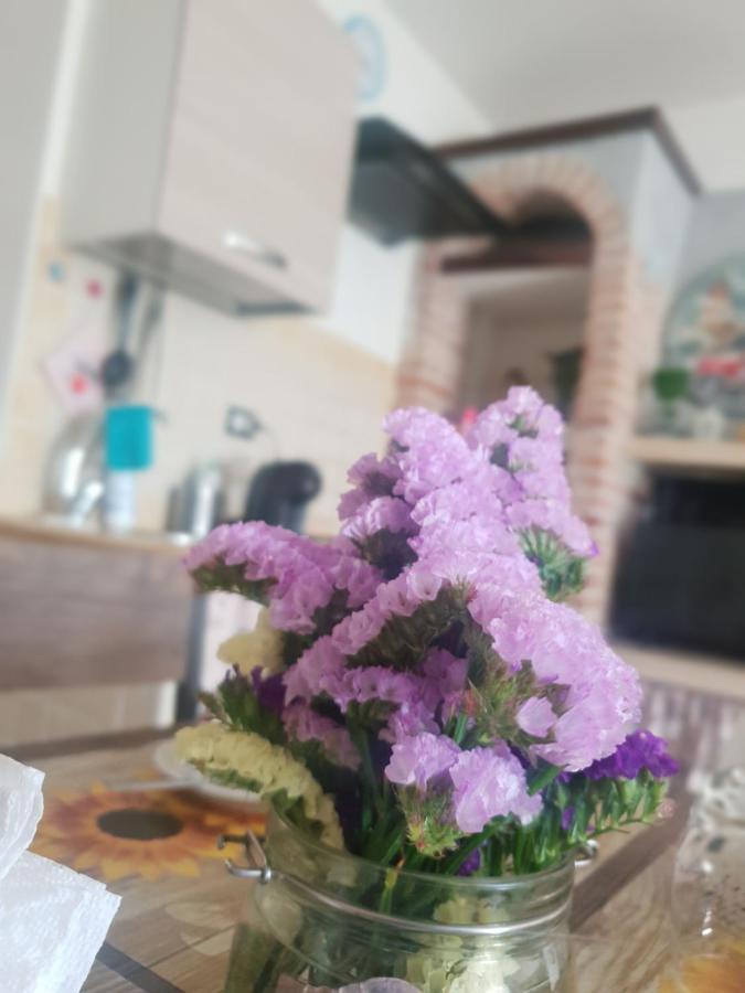 苏特里La Casa Dei Libri别墅 外观 照片
