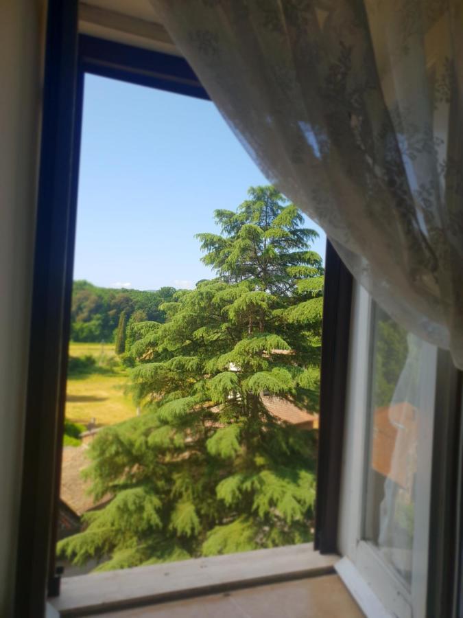 苏特里La Casa Dei Libri别墅 外观 照片